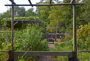 Marshouse - Garden of Edwina von Gal